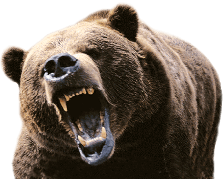 Bärenstarkes Heizöl